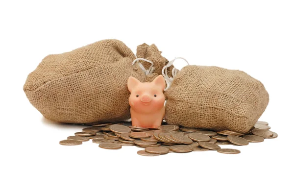 Porco de brinquedo com sacos de dinheiro isolados — Fotografia de Stock