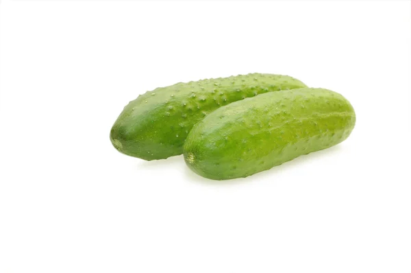 Two cucumbers isolated on white background — Stock Photo, Image
