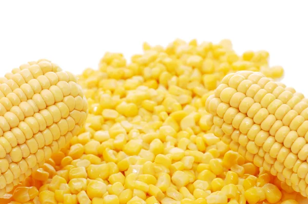 Klas kukuřice a konzervovaná kukuřice — Stock fotografie