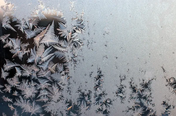 Stock image Frosty natural pattern on winter window