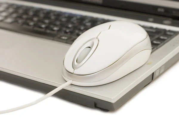 ラップトップ コンピューターのマウス — ストック写真