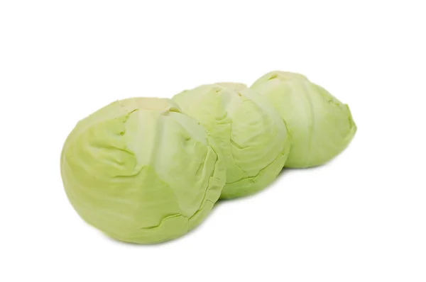 Fresh cabbage isolated — Stock Photo, Image