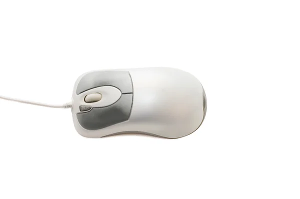 Серые компьютерные мыши с кабелем на белом — стоковое фото