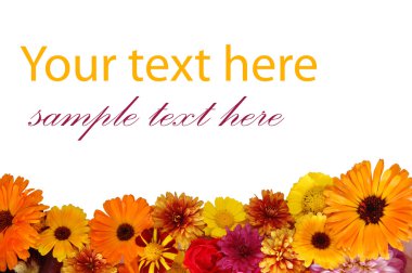 Beautiful border from fresh flowers clipart