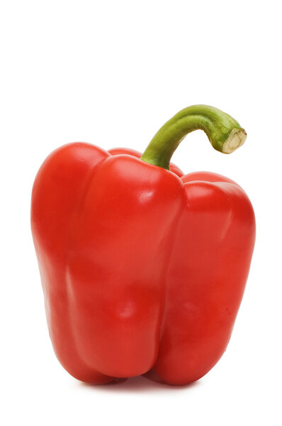 Bulgarian pepper isolated
