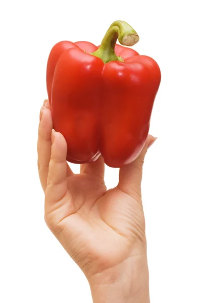 Ruka držící červená paprika — Stock fotografie