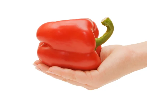 Mão segurando pimenta vermelha isolada — Fotografia de Stock