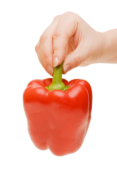 Mão segurando pimenta vermelha isolada — Fotografia de Stock
