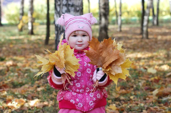 Klein meisje wandelingen in herfst park — Stockfoto