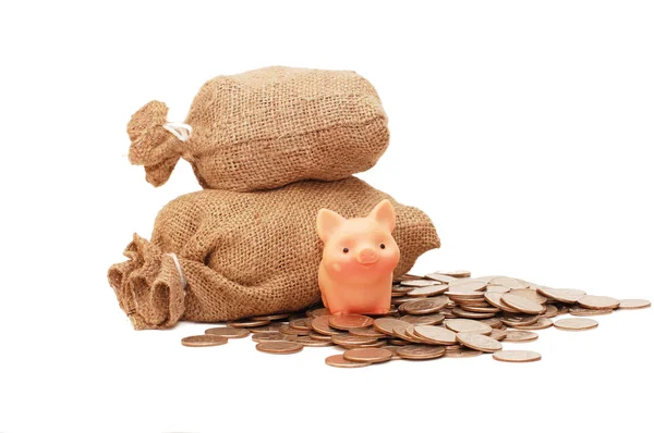 Zabawka świnia z workami pieniędzy na białym tle — Zdjęcie stockowe