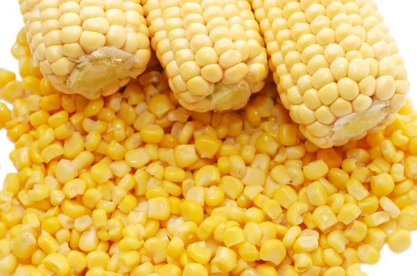 Ear of fresh corn and tinned corn — Stock Photo, Image