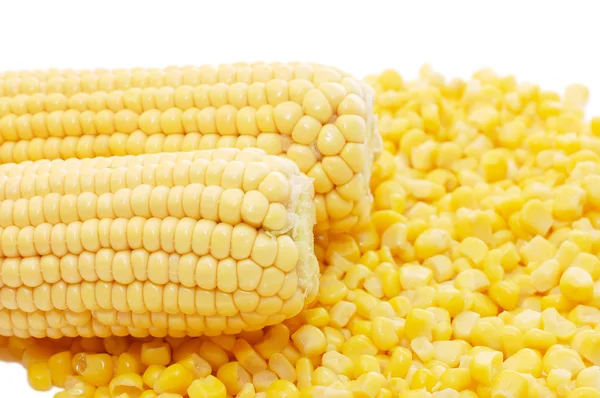 Ear of fresh corn and tinned corn — Stock Photo, Image