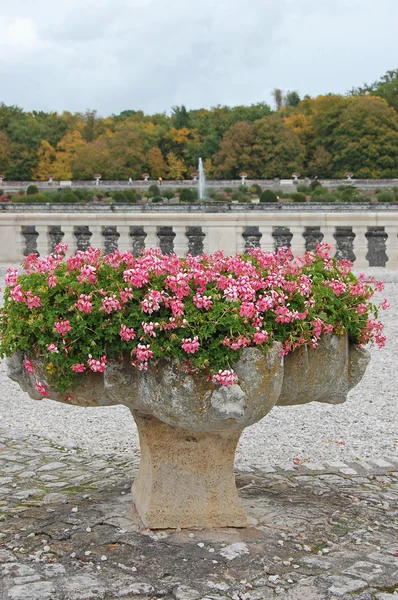 Flowers in a vase in park Chenonceau — Stockfoto