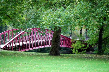 prachtige mistige herfst in park