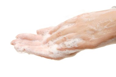 Female hands in soapsuds isolated on white clipart