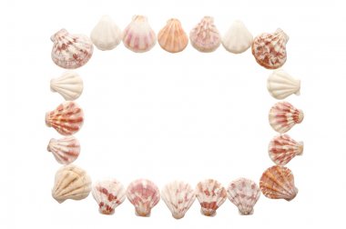 Sea shell frame isolated on a white background clipart