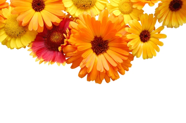 Sieraad vanaf zomer mooie bloemen op een whit — Stockfoto