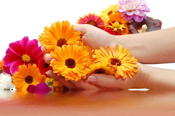Mão feminina com belas flores — Fotografia de Stock