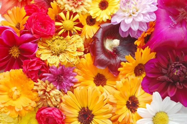 多色彩鲜艳的花朵图案 — 图库照片