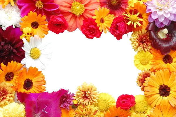 Rahmen aus Blumen mit Blütenblättern verschiedener Art — Stockfoto