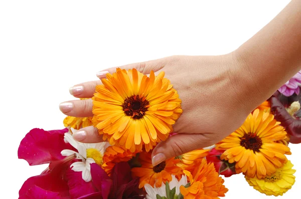 stock image Female hand with beautiful flowers on a white ba