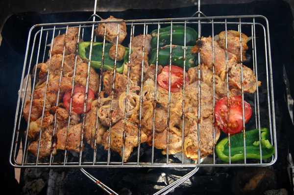 Shish kebab arrostendo su un fuoco aperto — Foto Stock
