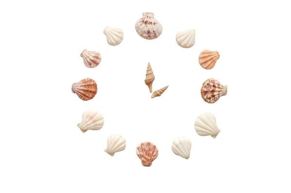 Reloj de conchas aisladas en el blanco —  Fotos de Stock