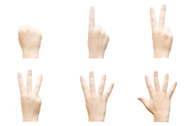 Women hand show the number five clipart