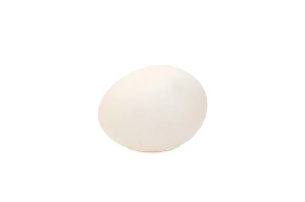 Huevo aislado sobre fondo blanco — Foto de Stock