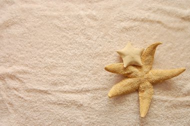 Two starfishes on colorful beach towel clipart