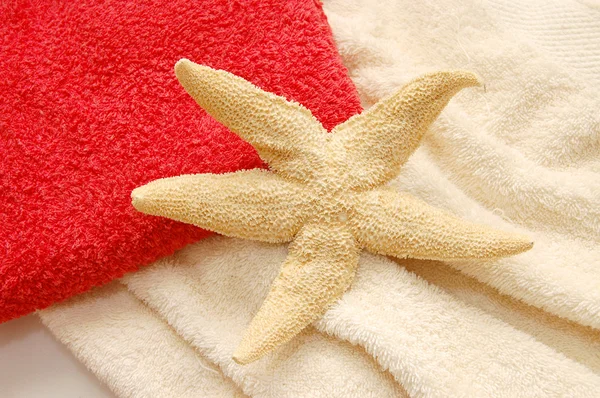 Sjöstjärna på färgglada stranden handduk — Stockfoto