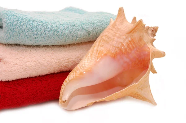 Zeer mooie schelpen op handdoek achtergrond — Stockfoto