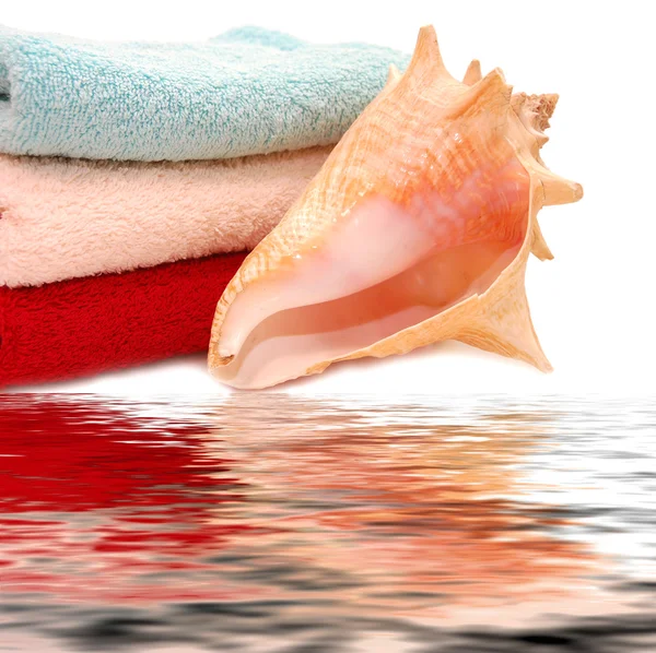 Zeer mooie schelpen op handdoek met reflexio — Stockfoto
