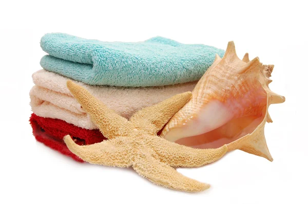 海星和毛巾背景上的贝壳 — 图库照片