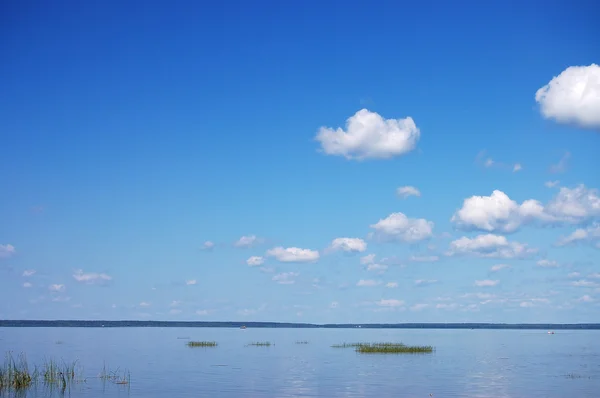 Pemandangan musim panas dengan air yang tenang — Stok Foto