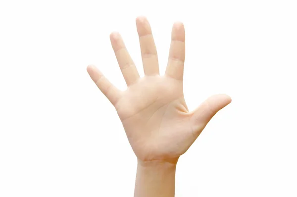 Mão de mulher (palma) isolada sobre branco — Fotografia de Stock