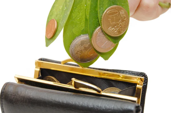 Folhas verdes com moedas e uma bolsa — Fotografia de Stock