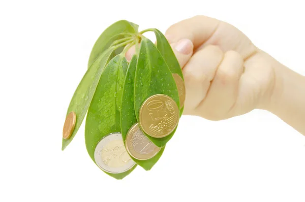 The female hand holds leaves and a coins — Stok fotoğraf