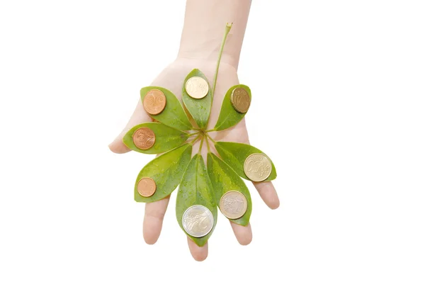 The female hand holds leaves and a coins — Stockfoto