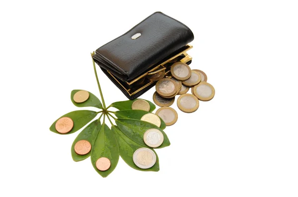 Zöld levelek, érmék és egy pénztárca — Stock Fotó