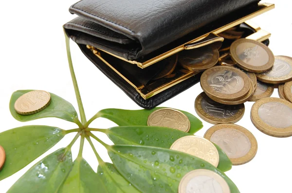 Grüne Blätter mit Münzen und Geldbörse — Stockfoto