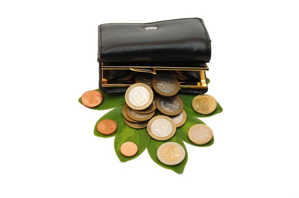 Foglie verdi con monete e una borsa — Foto Stock