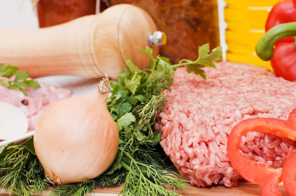 Carne fresca y diferentes componentes — Foto de Stock