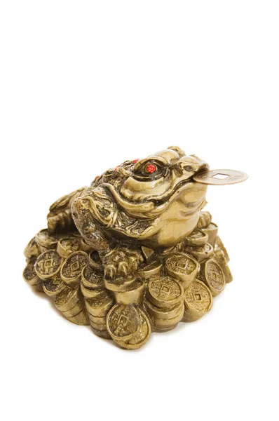 Chinese Feng Shui Frog with coins — Stock Photo, Image