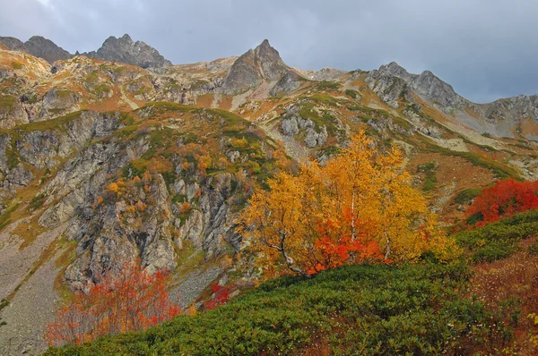 Φθινόπωρο στα βουνά — Φωτογραφία Αρχείου