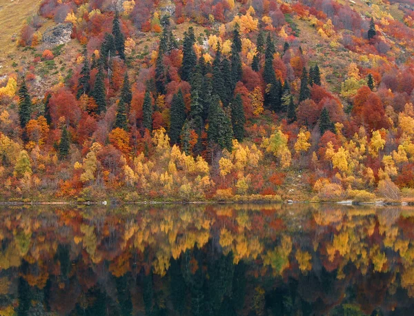 stock image Autumn forest reflected in a lake