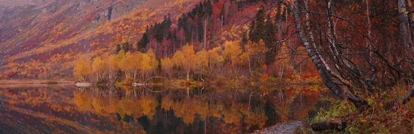 renkli bir sonbahar Gölü Panoraması.