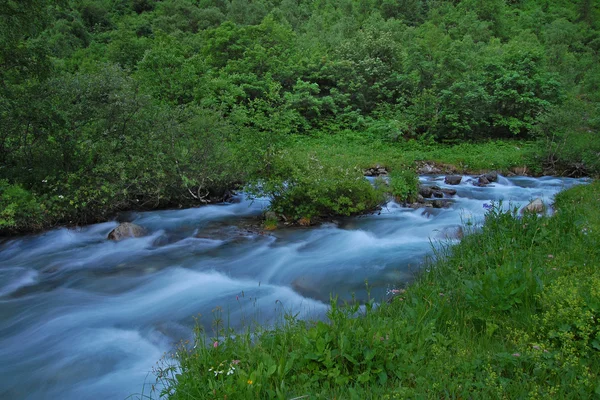 Rapid mountain stream — Stock Photo, Image