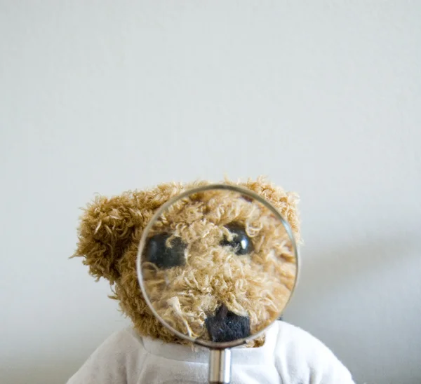 Urso de peluche — Fotografia de Stock