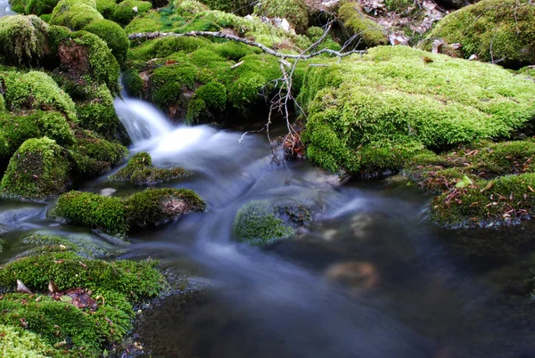 stock image Waterfall